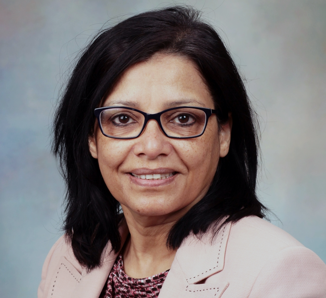 Portrait of Guest Editor Tasneem Z.  Naqvi 