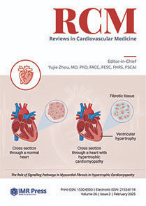 Cover image of Volume 26, Issue 2