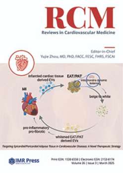 Cover image of Volume 26, Issue 3