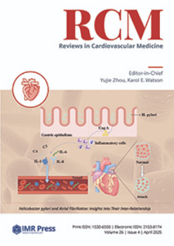 Cover image of Volume 26, Issue 4