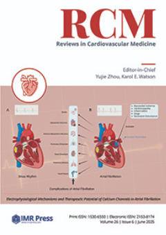 Cover image of Volume 26, Issue 6