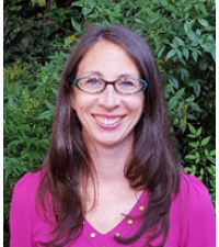 Portrait of Guest Editor Laurie L.  Wellman 