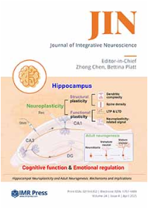 Cover image of Volume 24, Issue 4