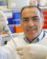 Portrait of Editorial Board member Marco  Falasca 