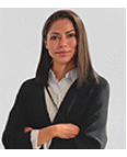 Portrait of Guest Editor Sauri Hernandez Resendiz