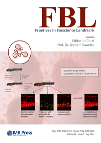 Cover image of Volume 28, Issue 5