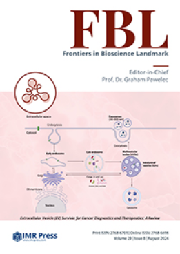Cover image of Volume 29, Issue 8