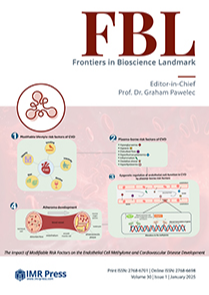 Cover image of Volume 30, Issue 1