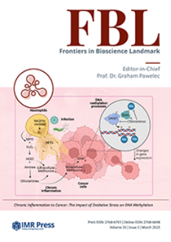 Cover image of Volume 30, Issue 3