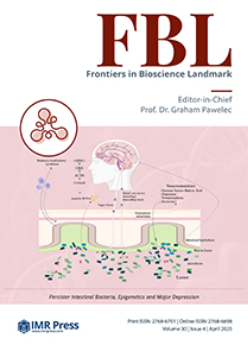 Cover image of Volume 30, Issue 4