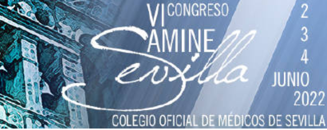 Conference cover image for VI Congreso AMINE