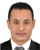 Portrait of Editorial Board member Taha Mehany