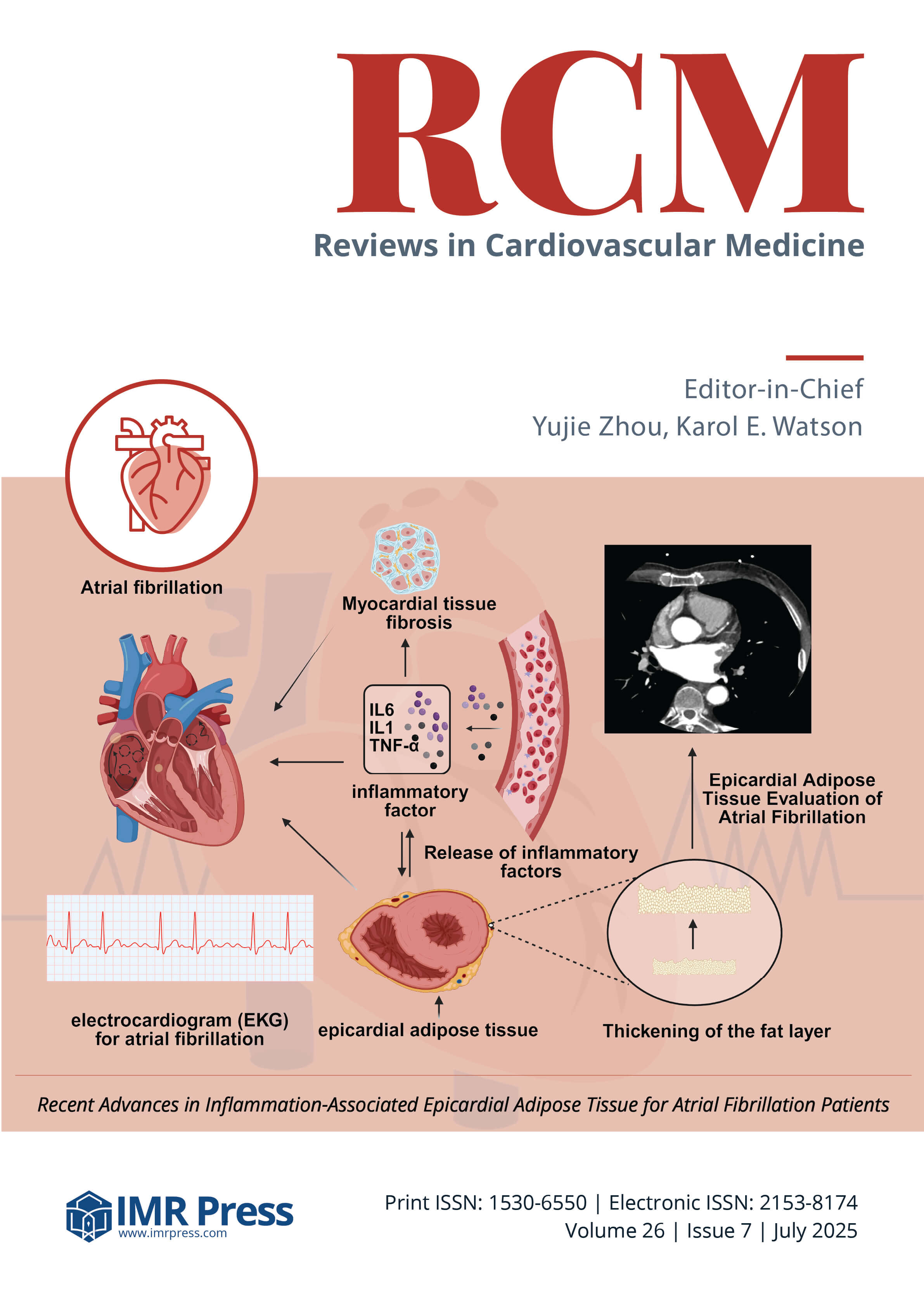 Cover image of Volume 26, Issue 7