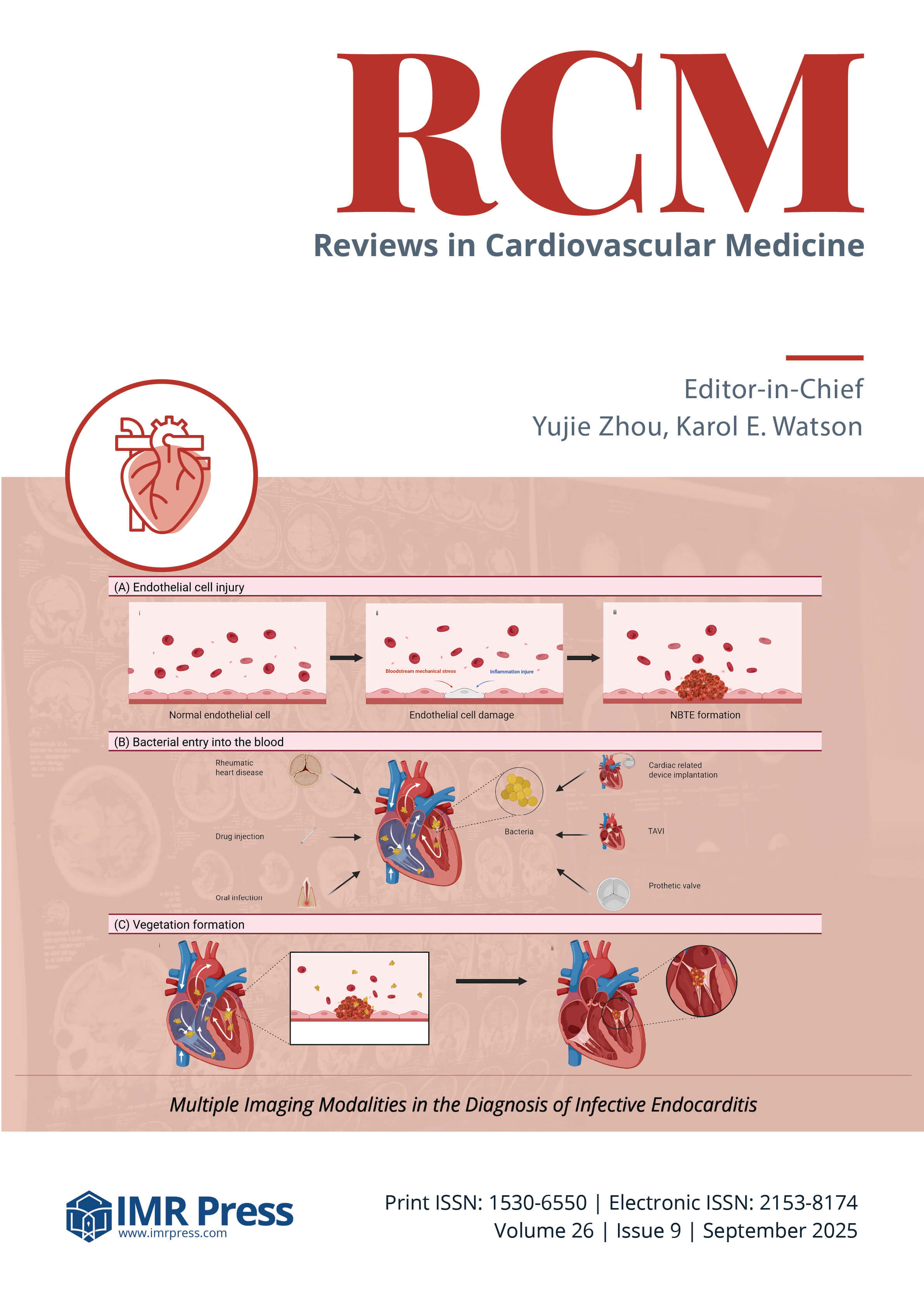 Cover image of Volume 26, Issue 9