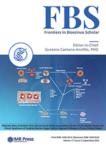 Cover image of Volume 17, Issue 3