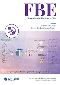 Cover image of Volume 17, Issue 3