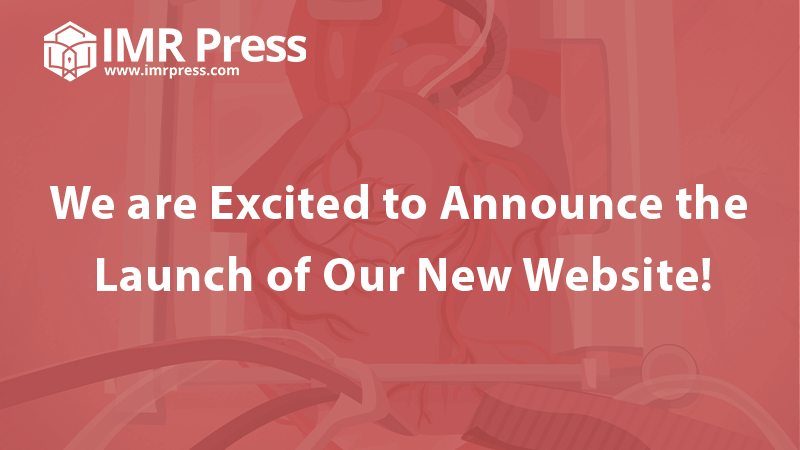 Banner image for We are Excited to Announce the Launch of Our New Website!