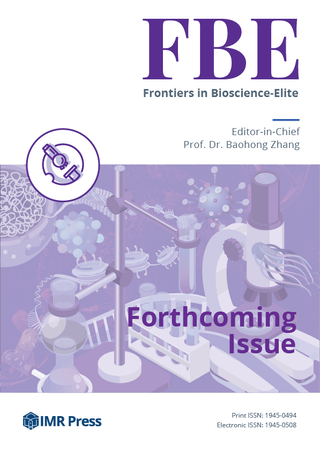 Cover image of Volume 17, Issue 4