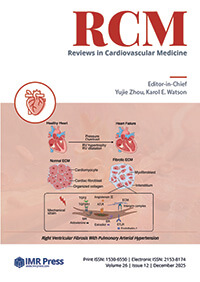 Cover image of Volume 26, Issue 12