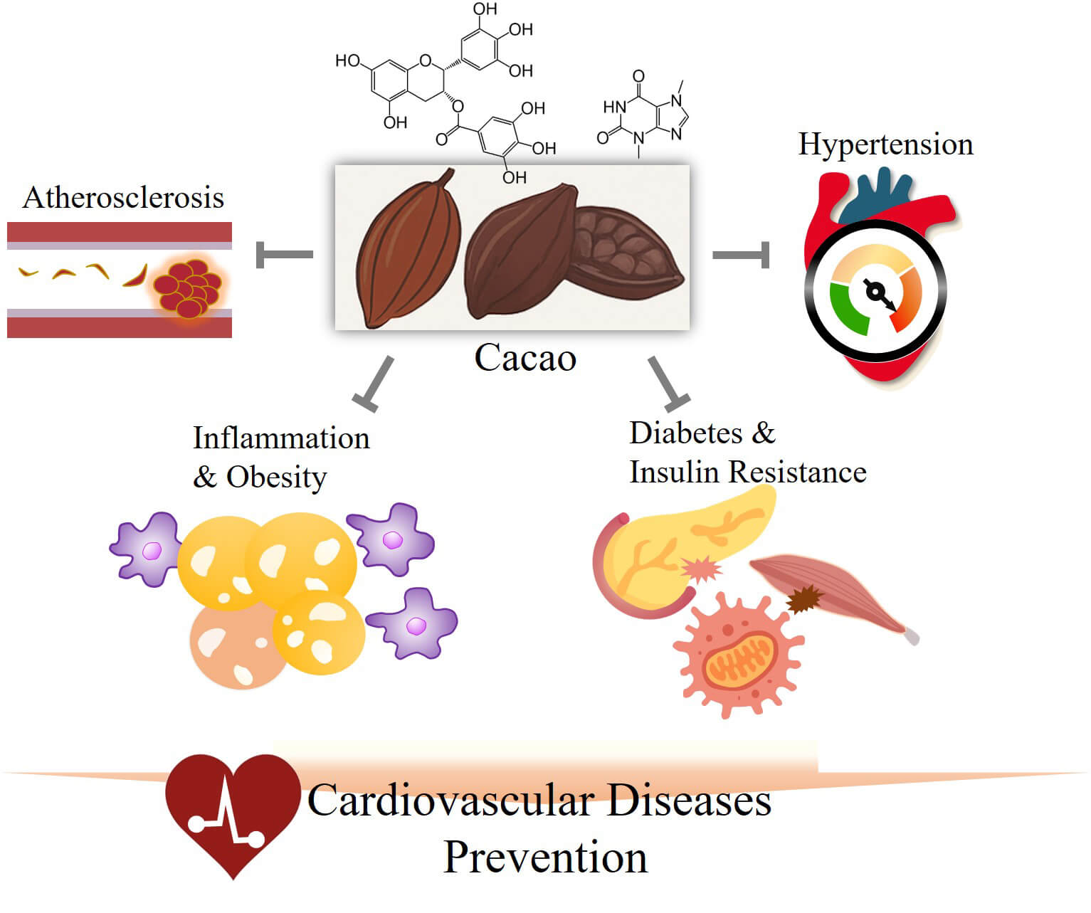 Cardiovascular Protective Effects and Mechanisms of Action of Cacao: A ...