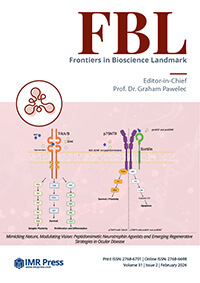 Cover image of Volume 31, Issue 2