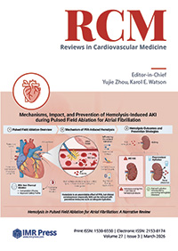 Cover image of Volume 27, Issue 3