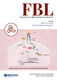 Cover image of Volume 31, Issue 1