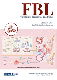 Cover image of Volume 31, Issue 3