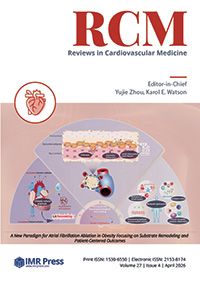 Cover image of Volume 27, Issue 4