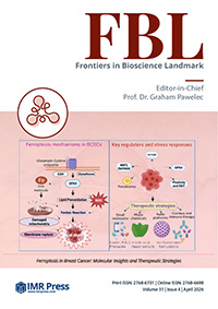 Cover image of Volume 31, Issue 4