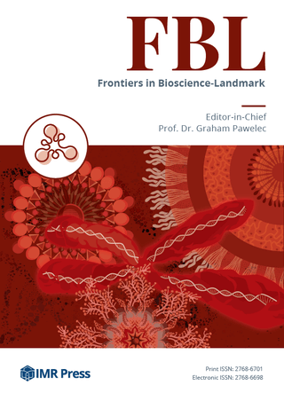 Cover image of Volume 31, Issue 5