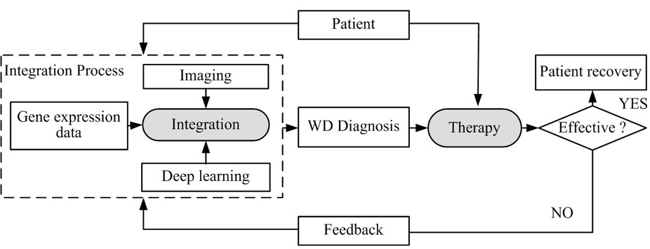 Wilson’s disease: A new perspective review on its genetics, diagnosis ...