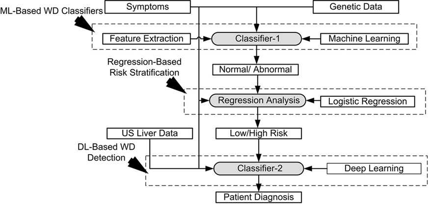Wilson’s disease: A new perspective review on its genetics, diagnosis ...