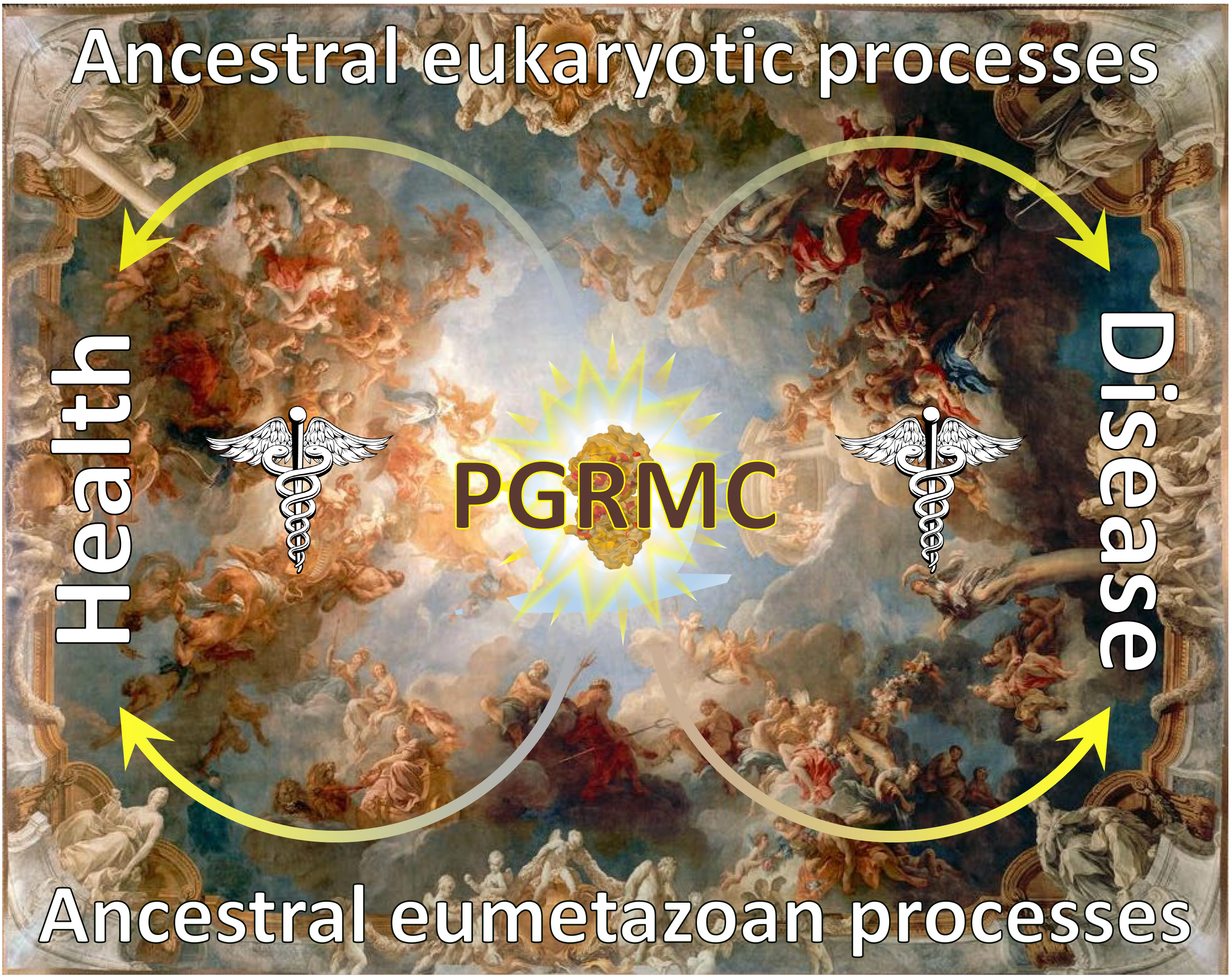 Laughter is the best medicine, image size:2637x2091