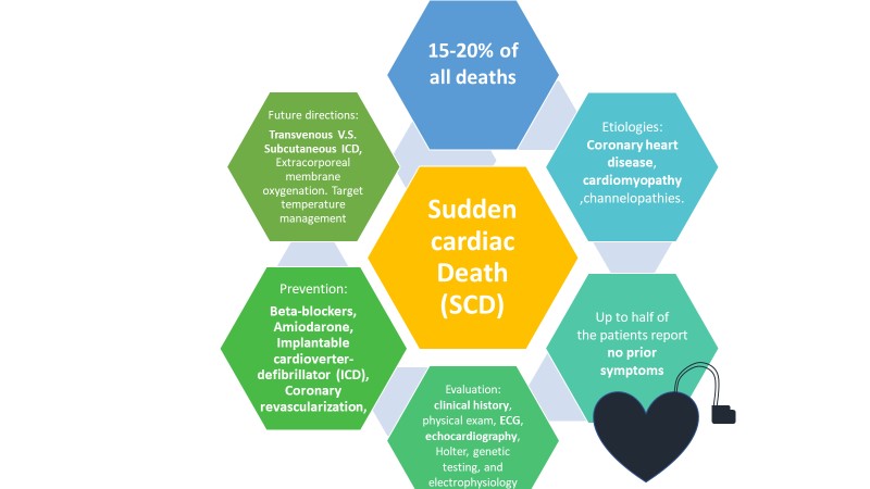 Sudden cardiac death: epidemiology, pathogenesis and management