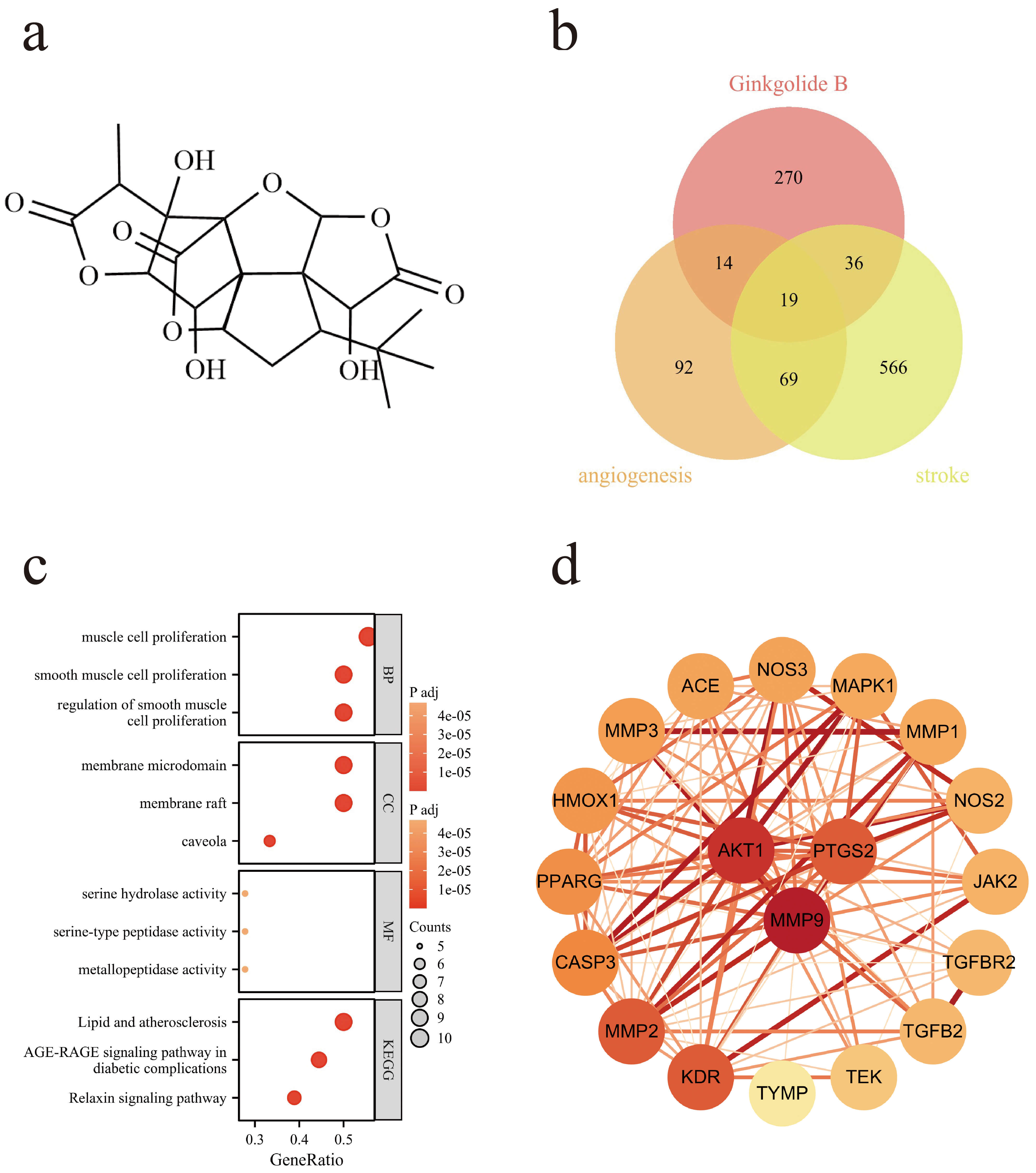 Ginkgolide B Promotes Angiogenesis After Oxygen-Glucose Ginkgolide B Promotes Angiogenesis After Oxygen-Glucose