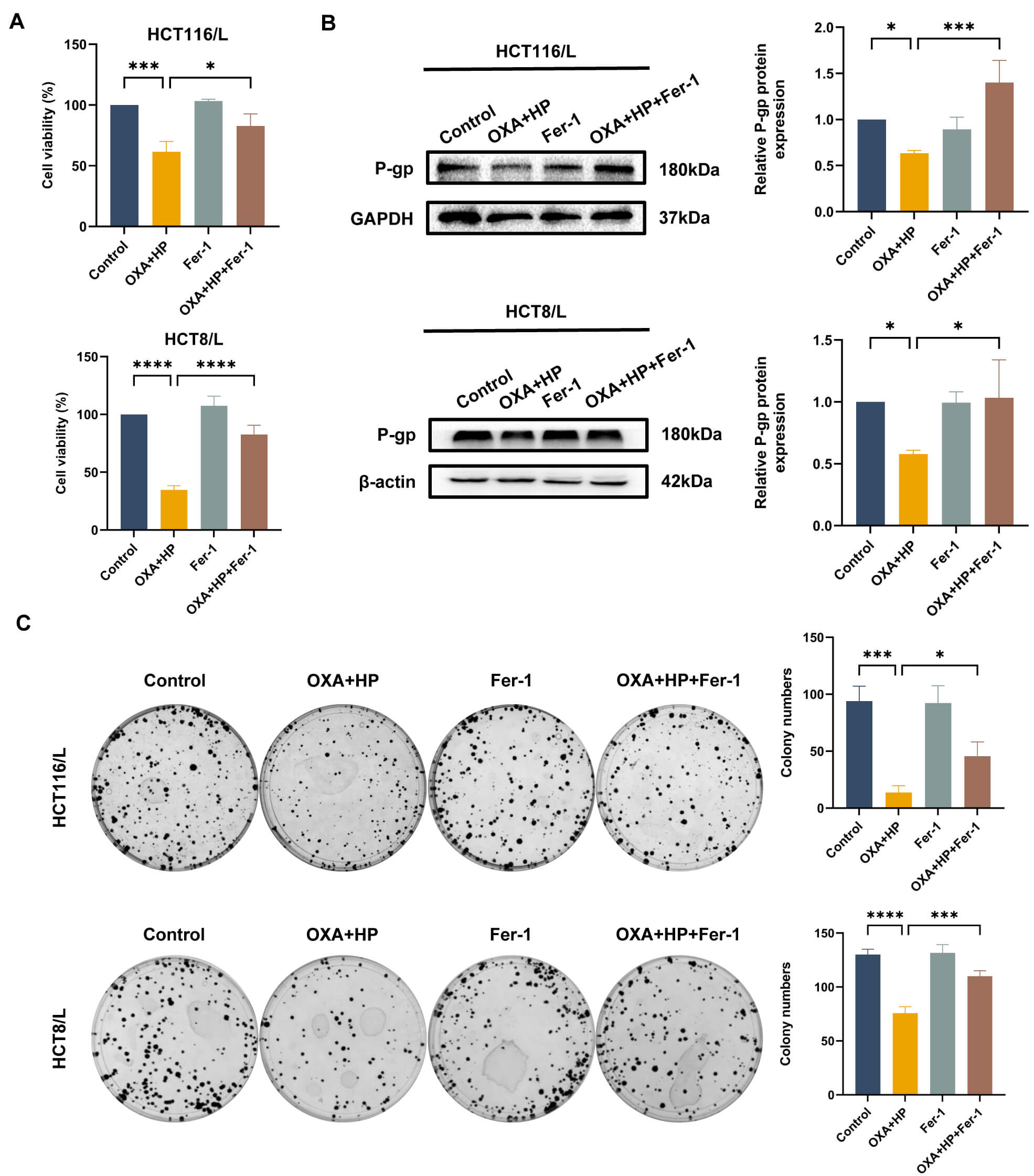 Huaier Sensitizes Oxaliplatin-Resistant Colorectal Cancer to ...