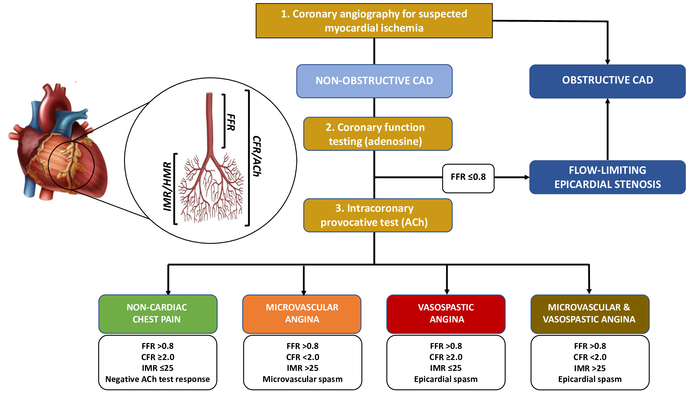 Invasive Functional Coronary Assessment in Myocardial Ischemia with Non ...