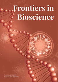 Cover image of Volume 13, Issue 5